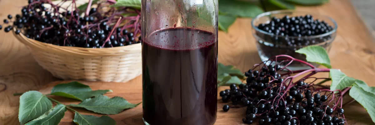 elderberry syrup recipe - outdoor blog