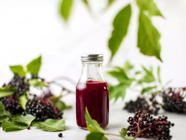 elderberry syrup recipe - outdoor blog