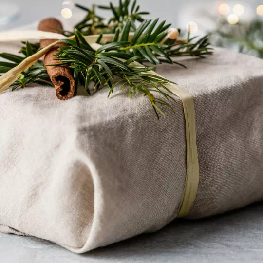 eco friendly christmas ideas